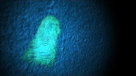 Shining Light on the Evidence