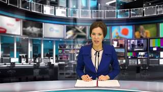 Судьба игрушек с мемориала у «Зимней вишни» Судьба игрушек с мемориала у «Зимней вишни»