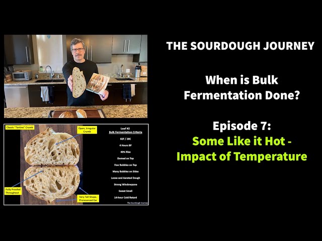 Beginner Guide: How Temperature Affects Sourdough 