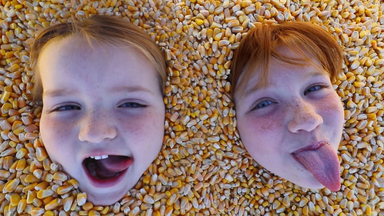 CORN KiDS a spooky 1 HOUR special ?  Family Halloween Party, Crafts and Painting Pumpkins the Movie