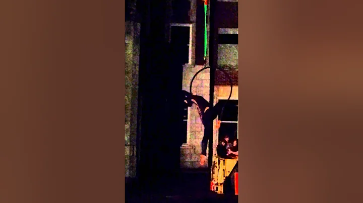 Erika Winn Performing Lyra Waverly Hills 2013