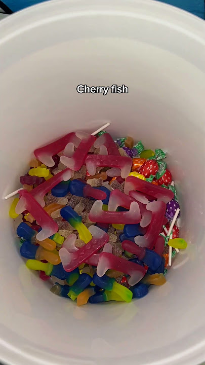 Lets pack a bucket of pick n mix sweets! Lets see what 25 options make up this 5kg order 🥰🍬