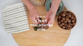 How to: Crack macadamia nuts