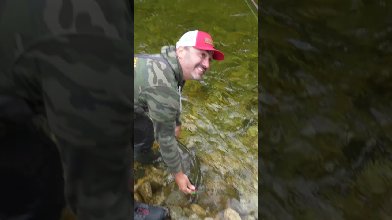 Salmon fishing – friends 1st salmon! #fishing #salmonfishing #fish #riverfishing #streamer #stream