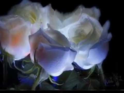 روح ربنا يخليك ليا اغنية رامي جمال
