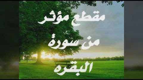 قران كريم بصوت الشيخ خالد هبه