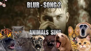 Blur  Song 2 (Animal Cover)