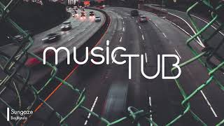 Sungaze - Barbatula [Soft House Music]