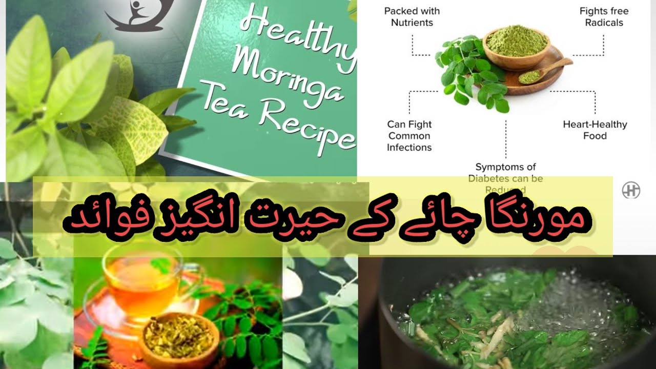 How To Make Moringa Tea Weight Loss Tea Immunity Booster Fat