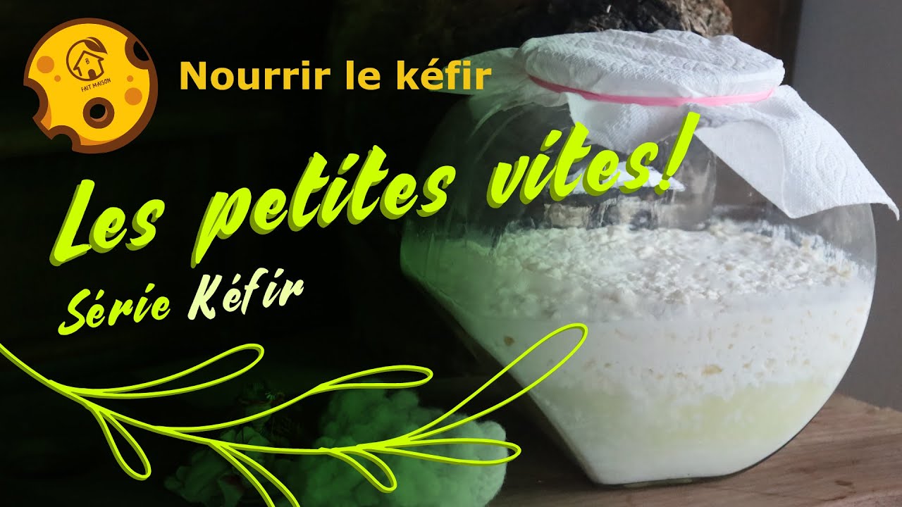 Comment garder les grains de kéfir entre deux productions , les petites
