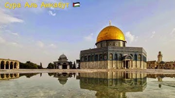 Сура Аль Анкабут سورة العنكبوت Мишари Рашид مشاري العفاسي Перевод на русском под Sura Al Ankaboot