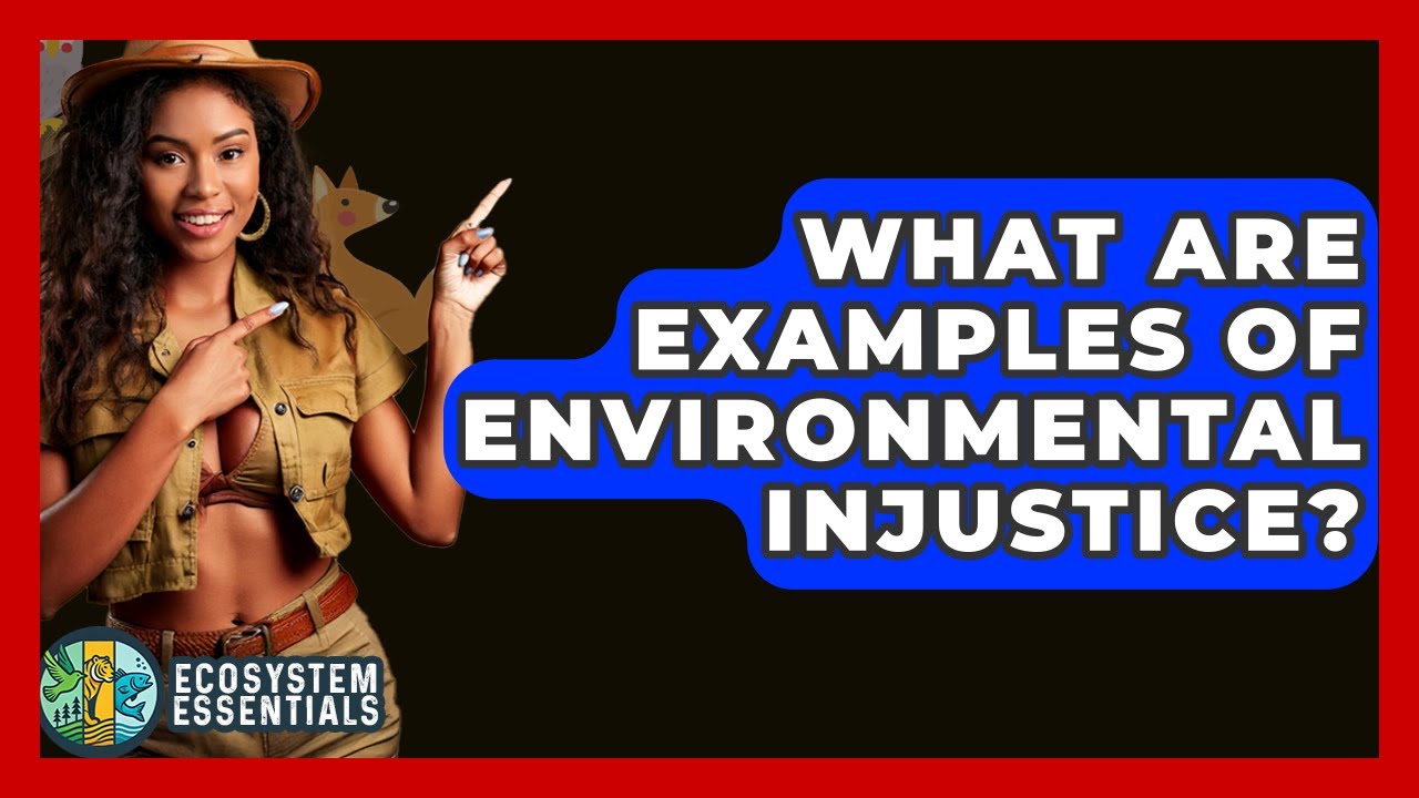 What Are Examples Of Environmental Injustice? - Ecosystem Essentials