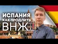 Продление стартап визы Испании