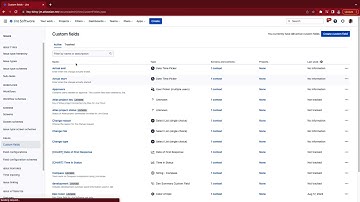 Program Management with Jira - Create custom fields