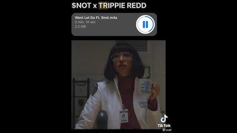 Alone $NOT x Trippie Redd Unreleased Song Snippet