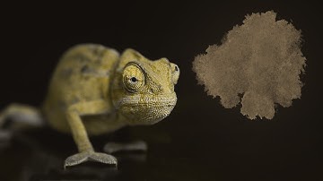 Spiral Dynamics Simplified ─ Stage Beige