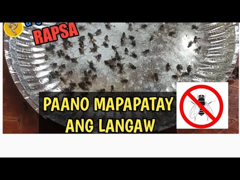 PAANO MAPAPATAY ANG LANGAW