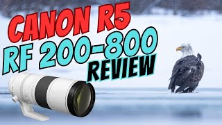 CANON RF 200-800 + CANON R5 | Full Frame Wildlife Field Review
