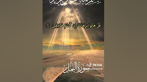 القارئ محمد الفقيه سورة النمل