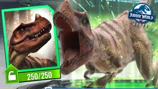 NEW CERATOSAURUS UNIQUE UNLOCKED!!! - Jurassic World Alive screenshot 1