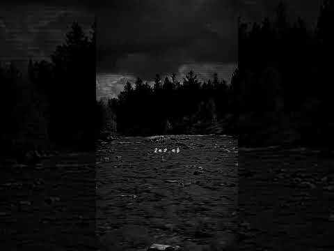 مامشتهين النوم كوه حالات حالات واتس حب اغاني عراقية اكسبلور