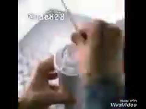 مواقف مضحكه معدش بيقف بلبلي