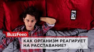 Как организм реагирует на расставание?