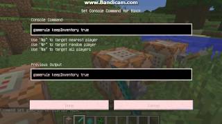 Minecraft Comand Block Tutorial: Gamerules!