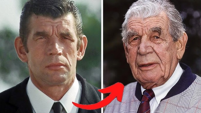 La vie et la triste fin de Michel Constantin