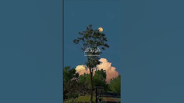{أَثُمَّ إِذَا مَا وَقَعَ ءَامَنتُم بِهِۦٓۚ }#سورة_يونس #عبدالرحمن_مسعد #قرآن_كريم #راحة_نفسية