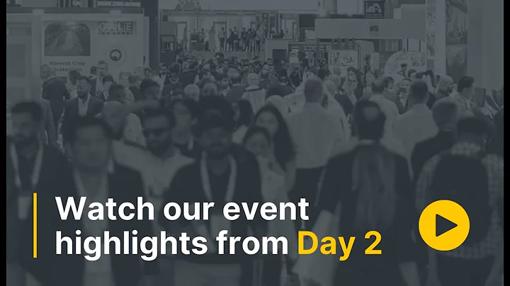 Big 5 Global 2025 – Day 2 Highlights