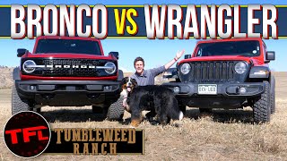 Cheap Jeep vs Expensive Bronco: Can My Little Wrangler Keep Up With The Mighty Bronco OffRoad?