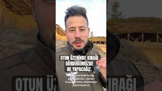 Kiraği Hayvanları Öldürebilir.