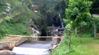 Lagu Daerah Papua ,Taman Bunga -Rio Grime