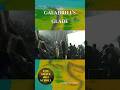 Galadriel’s Glade in LOTR films #lordoftherings #lotr #tolkien #middleearth #behindthescenes