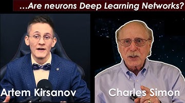 Are Neurons Deep Learning Networks?