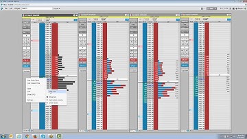 NEW TT | Introduction to Market Data in MD Trader®