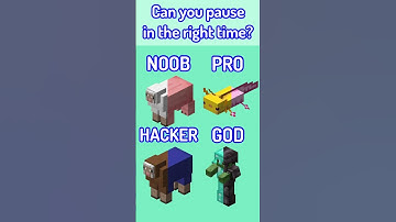 Can you pause at the right time Noob vs pro vs Hacker vs God #shorts #minecraft