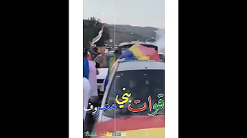 قوات بني معروف 