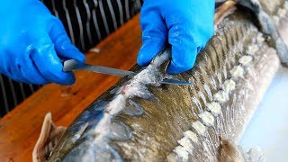 Thai Food - AMAZING STURGEON FISH PREPARATION Bangkok Thailand