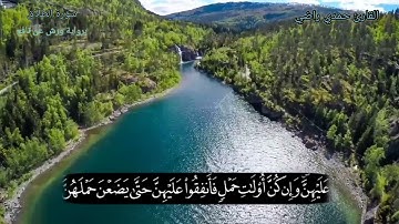 سورة الطلاق برواية ورش عن نافع...  للقارئ حمدي راضي