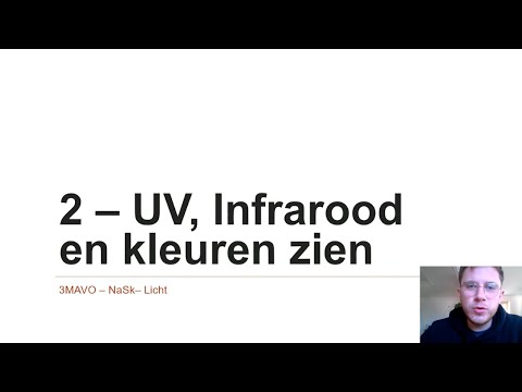 Video: Zien honingbijen ultraviolette kleuren?