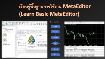 เรียนรู้พื้นฐานการใช้งาน MetaEditor (Learn Basic MetaEditor)