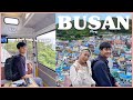 Took my husband to his first busan trip  busan food vlog