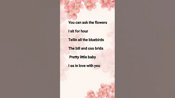YOU CAN ASK THE FLOWERS SONG LYRICS Songlyrics Music Viralvideo Trending Shorts 