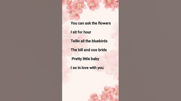 Thumbnail of YOU CAN ASK THE FLOWERS SONG LYRICS #songlyrics #music #viralvideo #trending #shorts