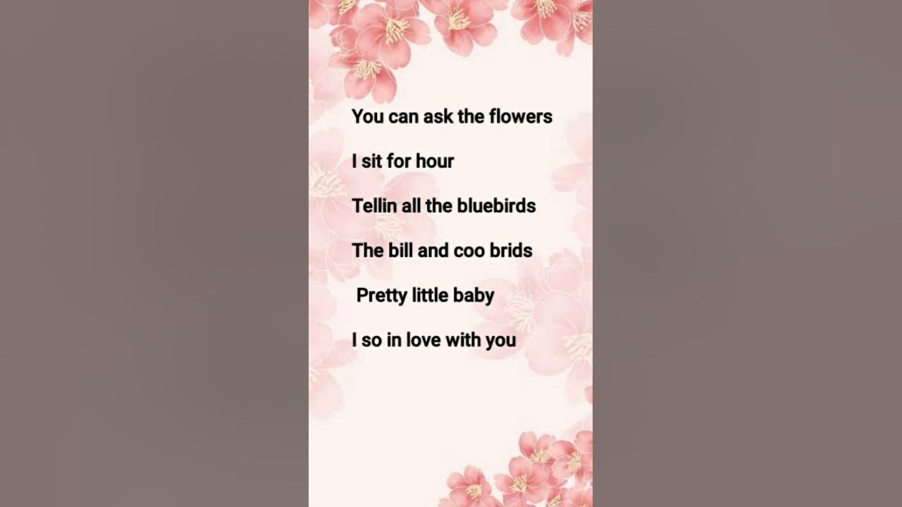 YOU CAN ASK THE FLOWERS SONG LYRICS #songlyrics #music #viralvideo #trending #shorts