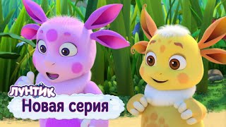 Лунтик | Полоса препятствий 🏃‍♀️🏃‍♀️🏃‍♀️ Новая серия! Премьера!