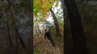Осенний лес, гора Читинза.