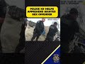 🐕🤕 K9 HELP: Buckeye Police Department attempts contact with K9 assistance. Does it work? 🤨⁉️